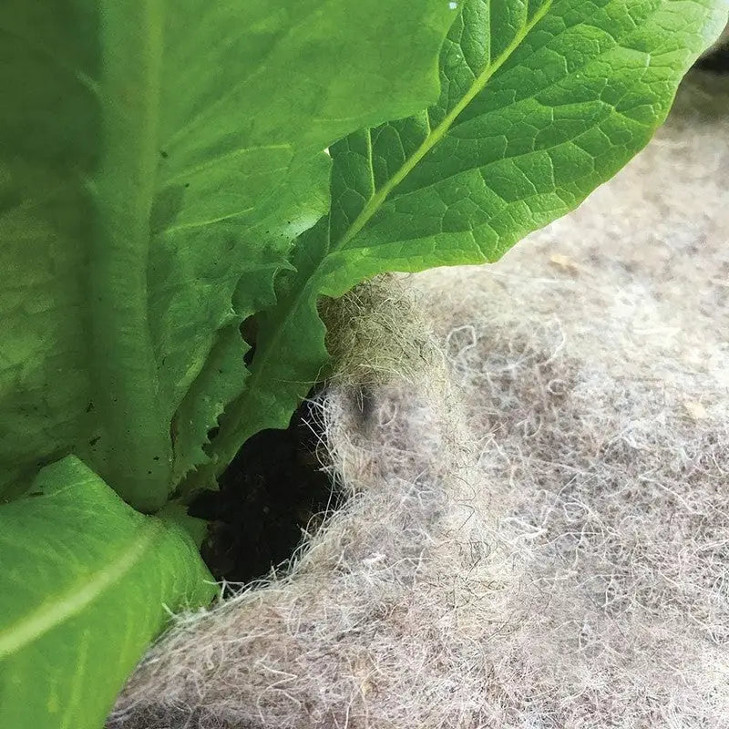 Defenders Slug Away Wool Mat - Small (87x60cm) - Gardening