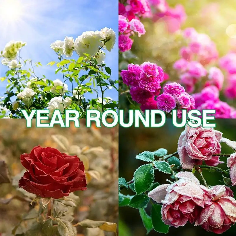 Doff Rose & Shrub Continuous Release Plant Food 1kg - Plants