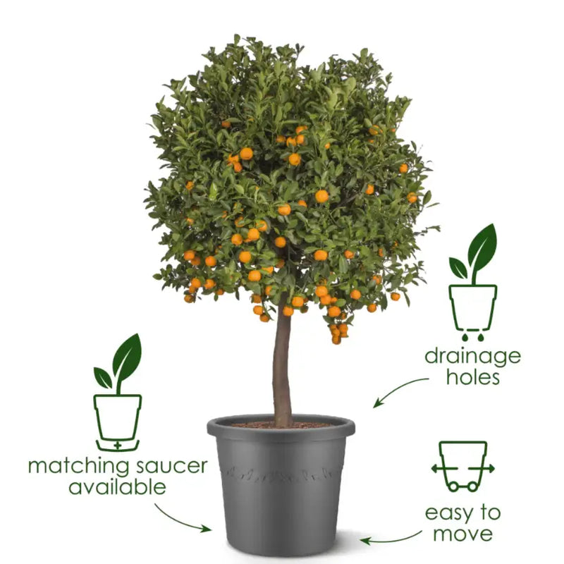 Elho Algarve Cilindro - Various Sizes and Colours Plant Pot