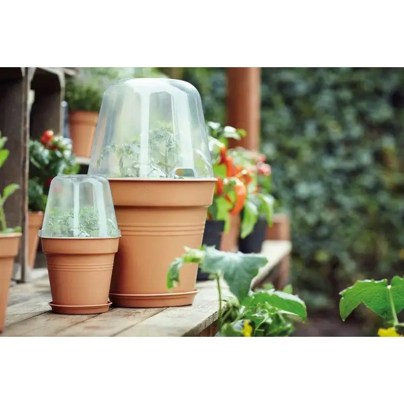 Elho Green Basics Growpot - Grow Pot - Indoor & Outdoor -