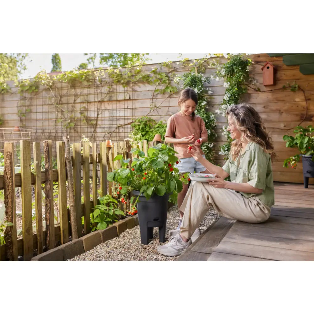 Elho Green Basics Strawberry Pot 33cm - Living Black Garden