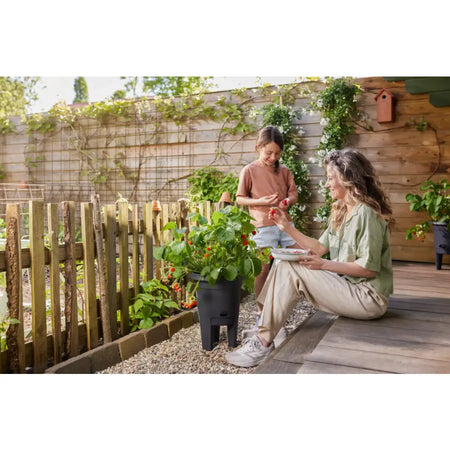 Elho Green Basics Strawberry Pot 33cm - Living Black Garden