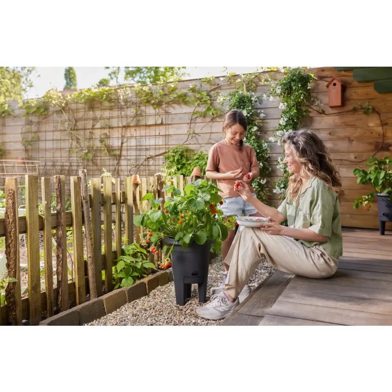 Elho Green Basics Strawberry Pot 33cm - Living Black Garden