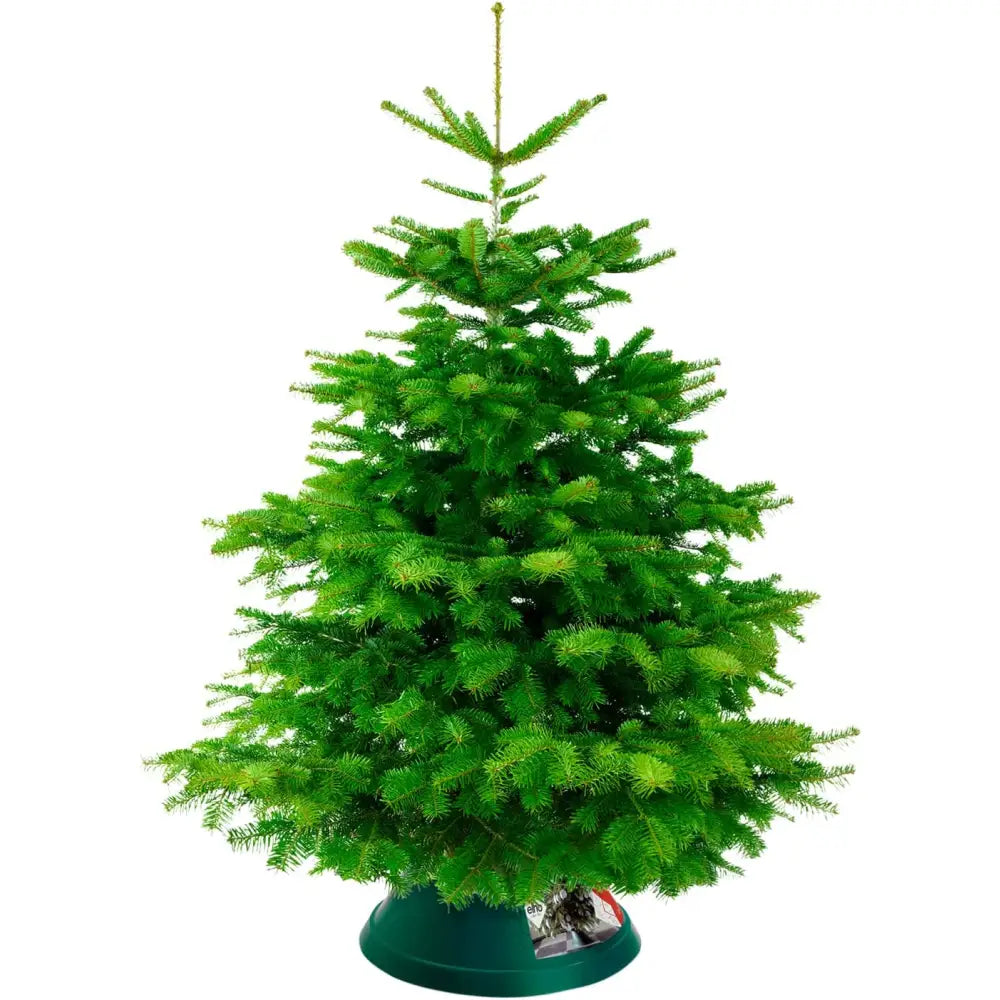 Elho Green Christmas Tree Stand With Water Reservoir - Oslo