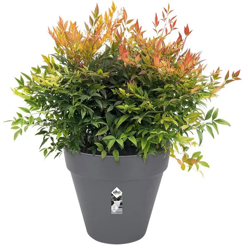 Elho Loft Urban Round Flower Plant Pot - 40cm - Gardening &