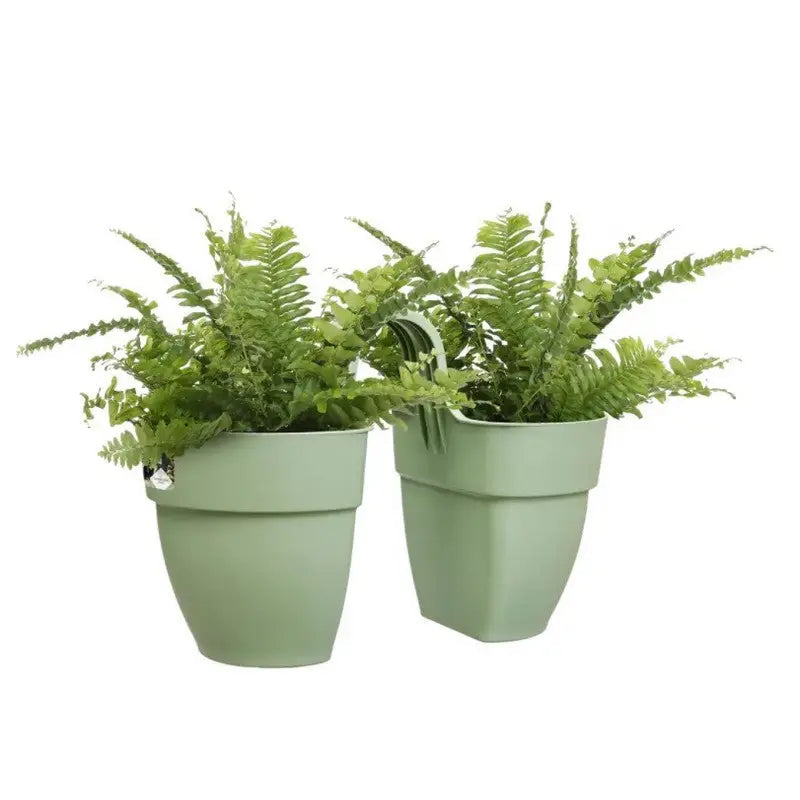 Elho Vibia Campana Flower Twin 21cm - Assorted Colours -