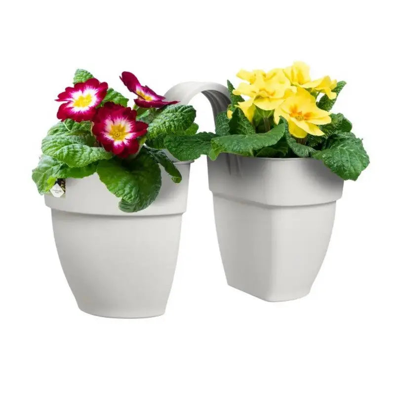 Elho Vibia Campana Flower Twin 21cm - Assorted Colours -