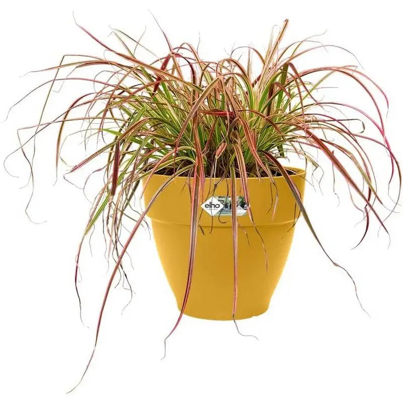 Elho Vibia Campana Round Plant Pot - Various Colours