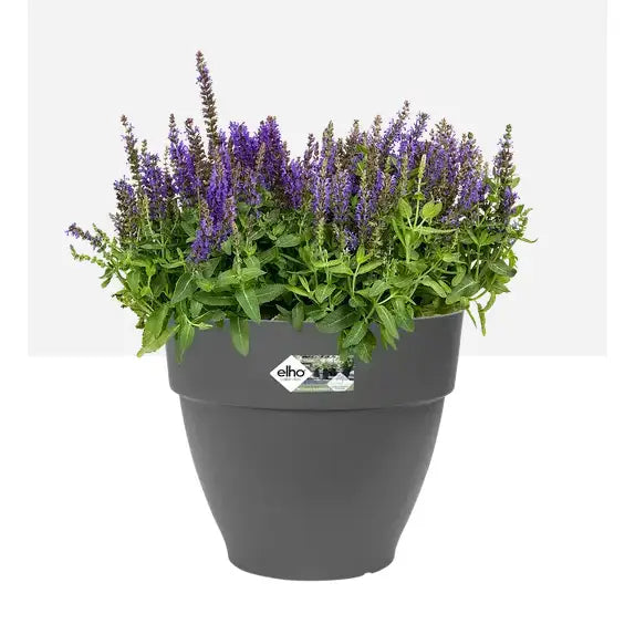 Elho Vibia Campana Round Plant Pot - Various Colours/Sizes