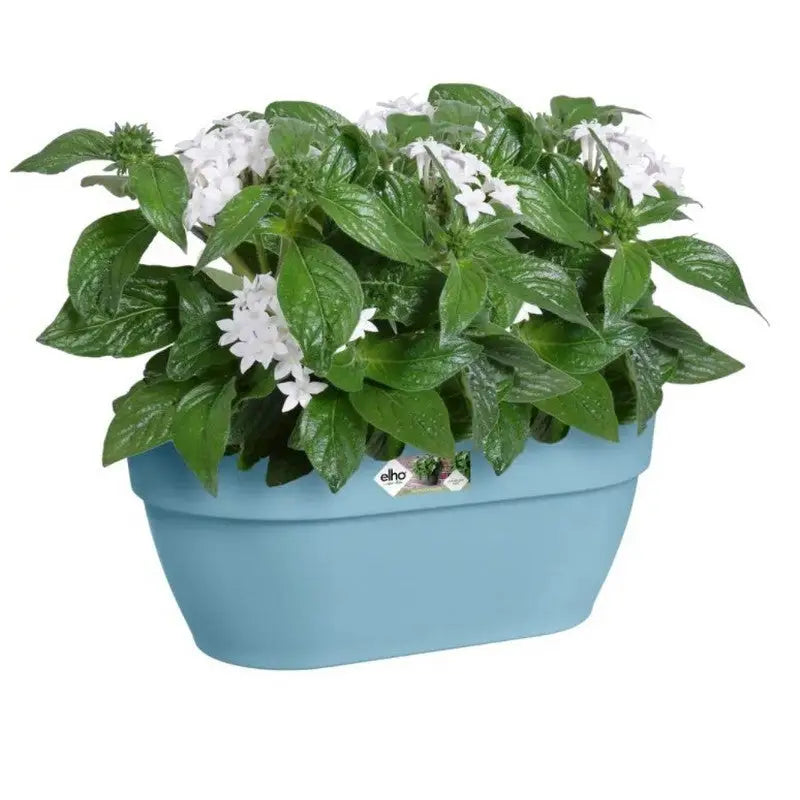 Elho Vibia Campana Wall Basket 35cm Plant Pot - Assorted