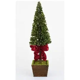 Enchante Potted Boxwood Small Tree Red Bow 53cm - Christmas