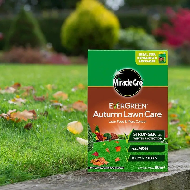 Evergreen Miracle-Gro Autumn Lawn Care 80m2 - Lawn care