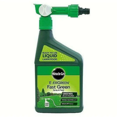 Evergreen Spray & Feed 1L - Gardening & Outdoors