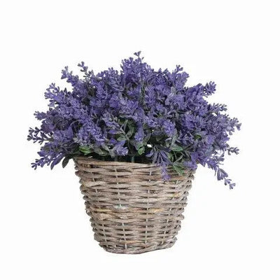 Faux Lavender in Wicker Pot 23cm - Homeware