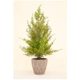 Frosted Potted Tree 40cm - Christmas >> Trees