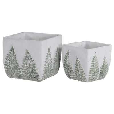 Green Fern Square Planter - Small OR Large - Homeware