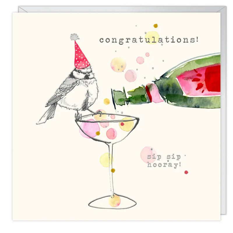 Greeting Cards - Various Bird Designs & Occasions - Sip Sip