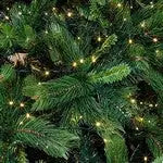 Jingles Amsterdam Pine Christmas Tree - 6ft - 10ft