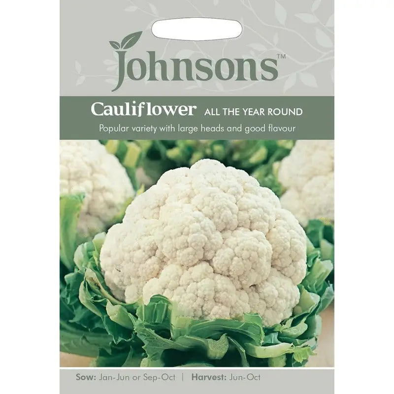 Johnston F&V Seeds - Cauliflower All The Year Round - Type