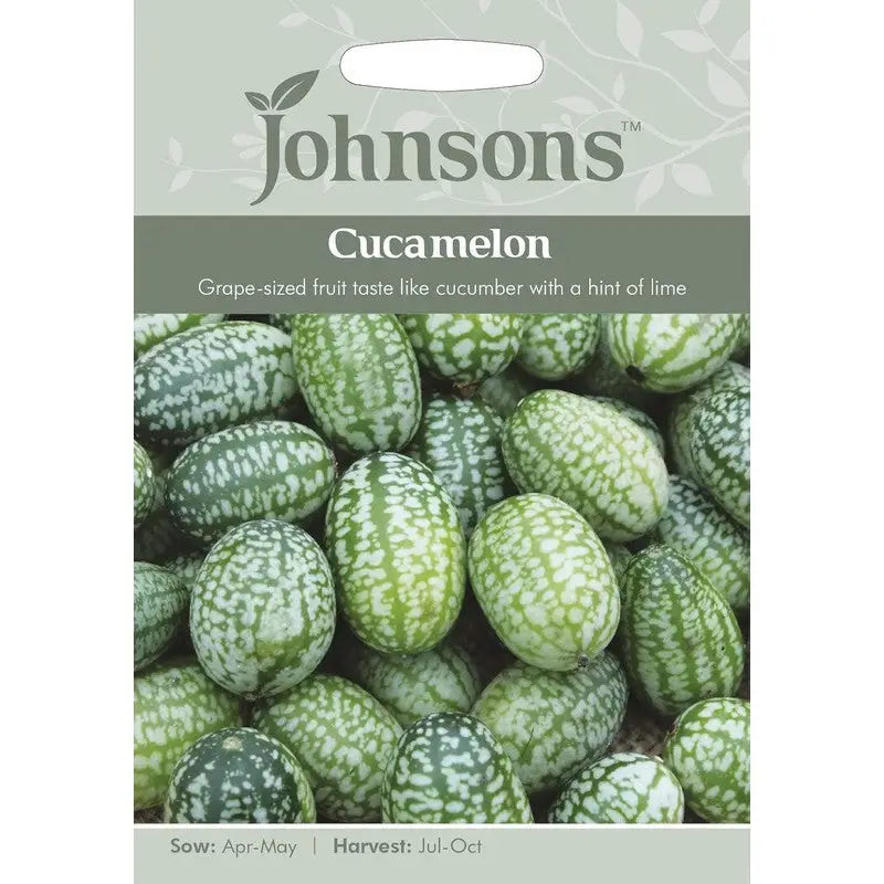 Johnston F&V Seeds - Cucamelon - Type V - Gardening &