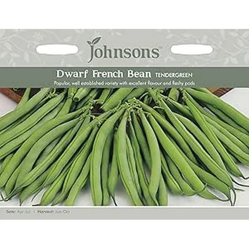 Johnston F&V Seeds - Dwarf French Bean Tendergreen - Type V