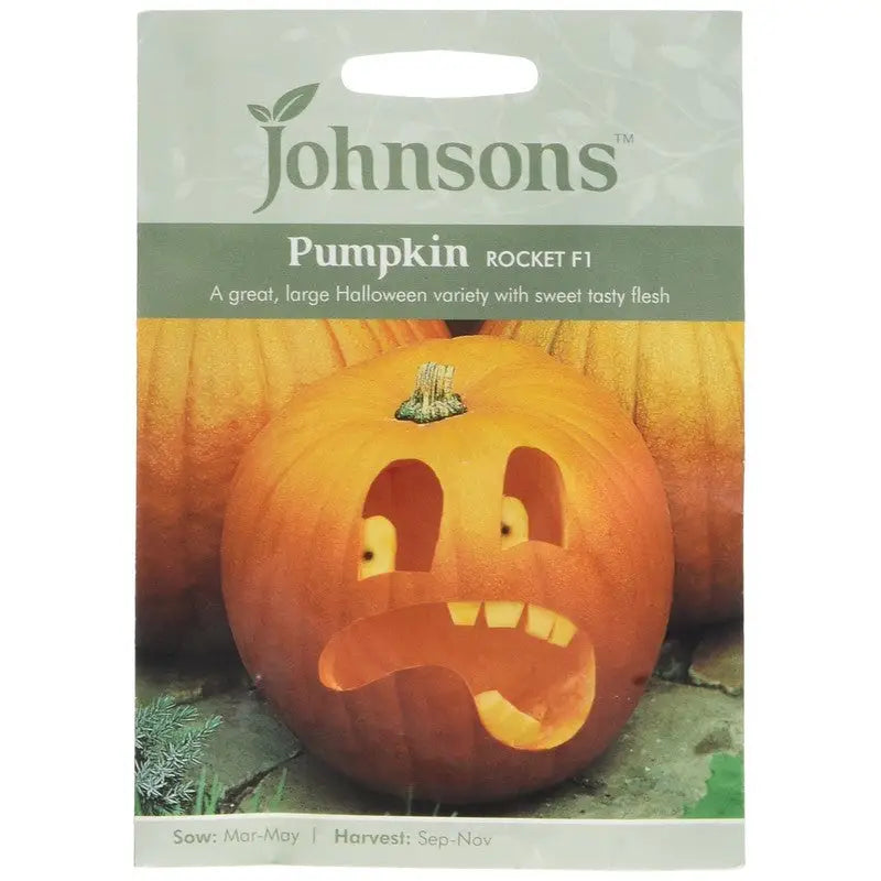 Johnston F&V Seeds - Pumpkin Rocket F1 - Type V - Gardening