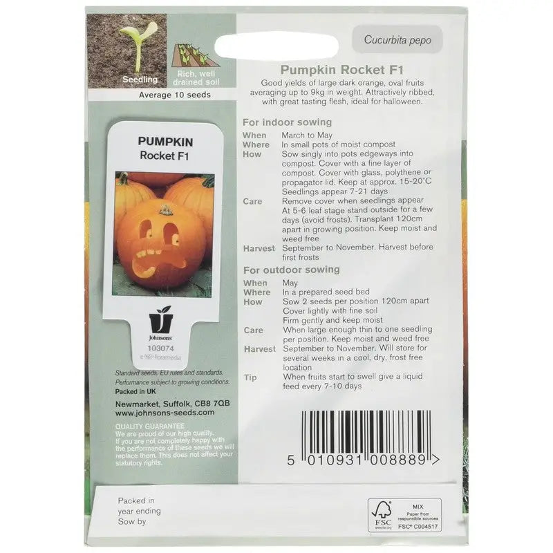 Johnston F&V Seeds - Pumpkin Rocket F1 - Type V - Gardening