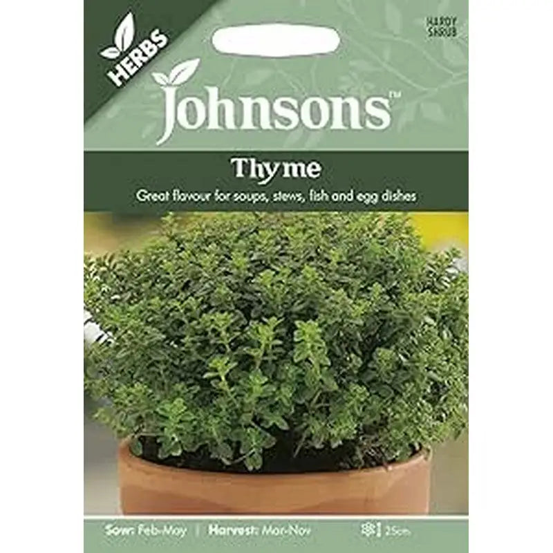 Johnston F&V Seeds - Thyme - Type V - Gardening & Outdoors
