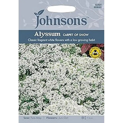 Johnston Flower Seeds - Alyssum Carpet Of Snow - Type F