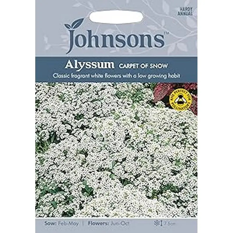 Johnston Flower Seeds - Alyssum Carpet Of Snow - Type F