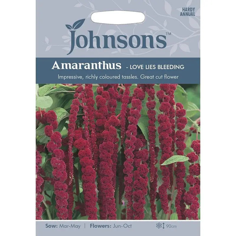 Johnston Flower Seeds - Amaranthus - Love Lies Bleeding