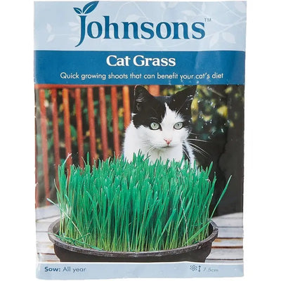 Johnston Flower Seeds - Cat Grass - Avena Sativa - Type E