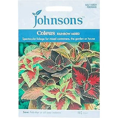 Johnston Flower Seeds - Coleus Rainbow Mixed - Type F