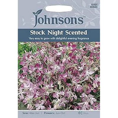 Johnston Flower Seeds - Stock Night Scented - Type F