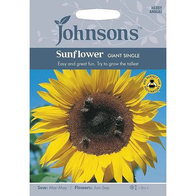 Johnston Flower Seeds - Sunflower Giant Single - Type E