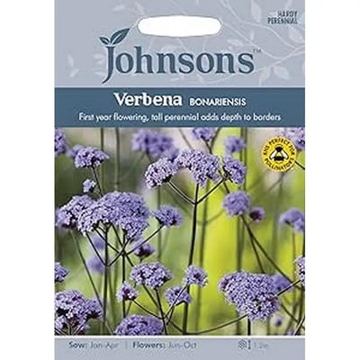 Johnston Flower Seeds - Verbena Bonariensis - Type F