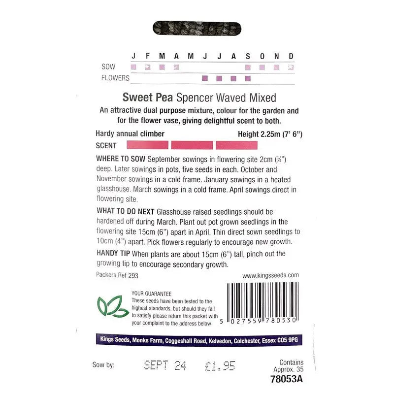 Kings Seeds Flowers Range of Growing Seeds - Seeds