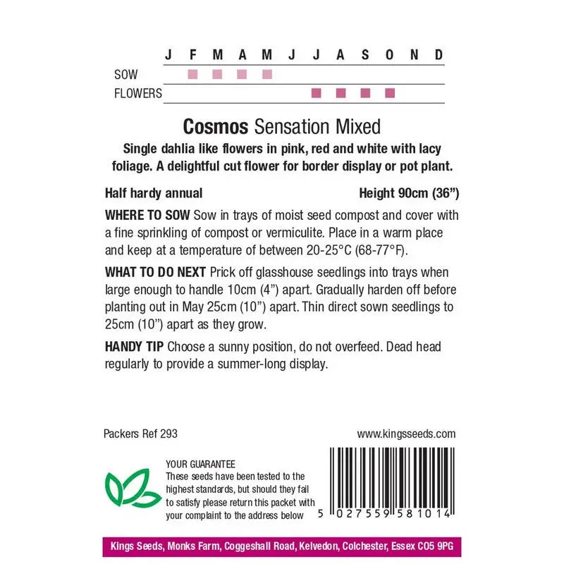 Kings Seeds Flowers Range of Growing Seeds - Seeds