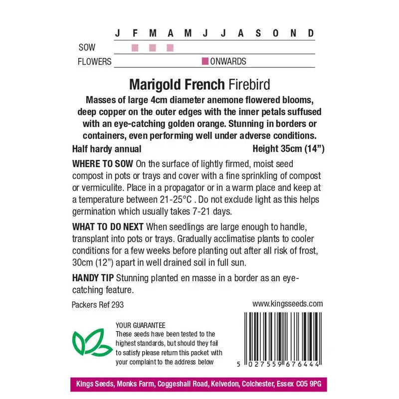 Kings Seeds Flowers Range of Growing Seeds - Seeds