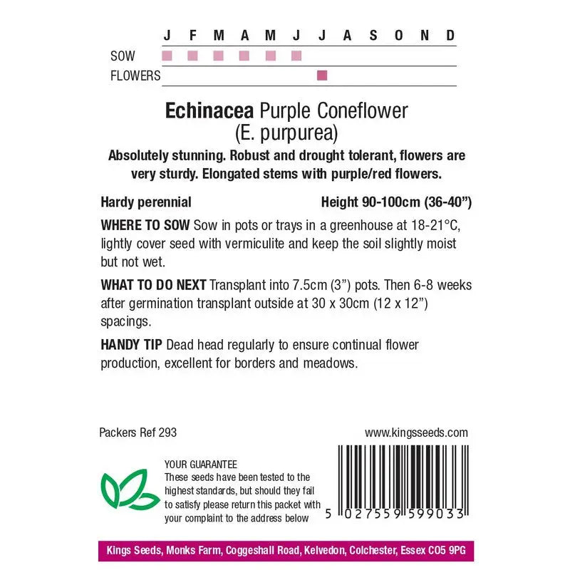 Kings Seeds Flowers Range of Growing Seeds - Seeds