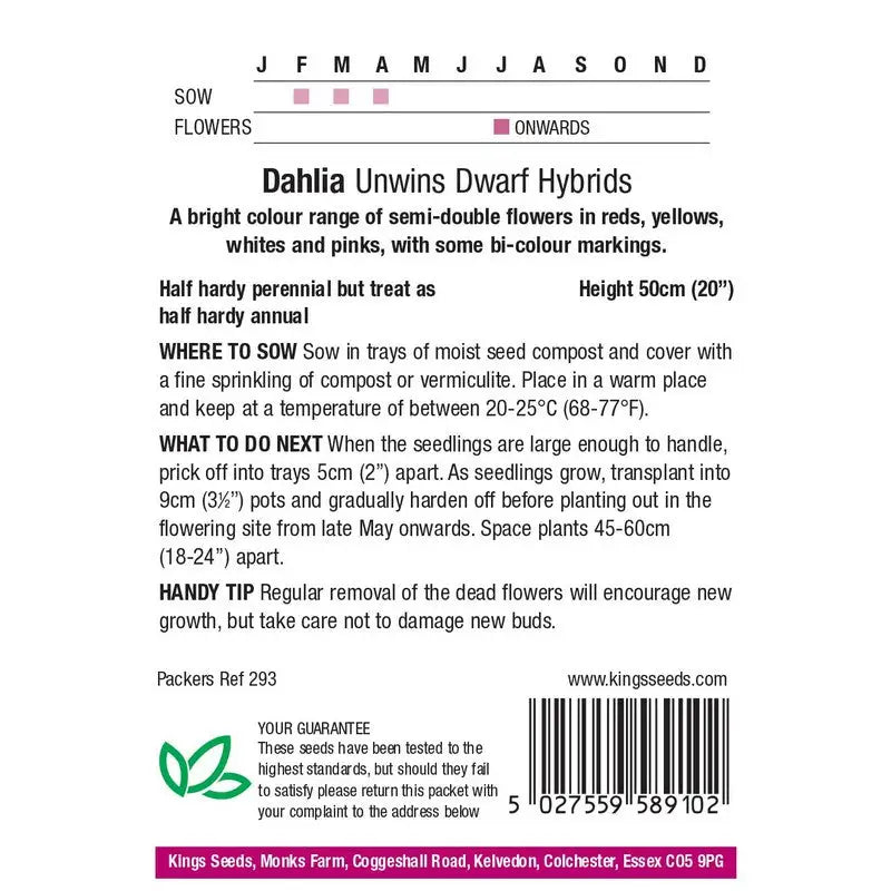 Kings Seeds Flowers Range of Growing Seeds - Seeds