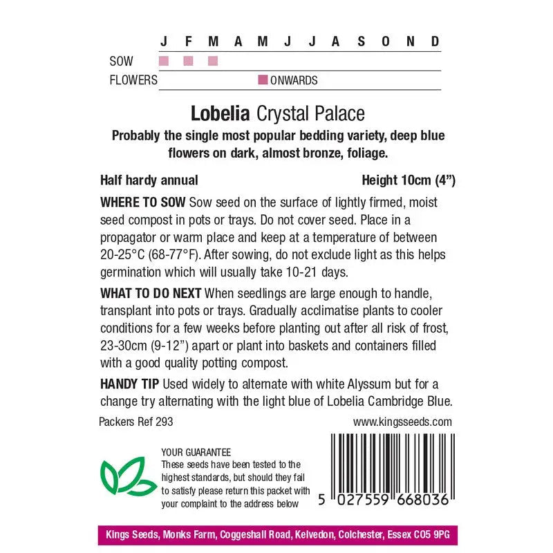 Kings Seeds Flowers Range of Growing Seeds - Seeds