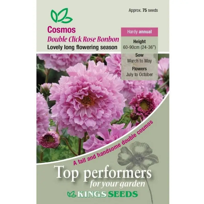 Kings Seeds Flowers Range of Growing Seeds - Cosmos Double