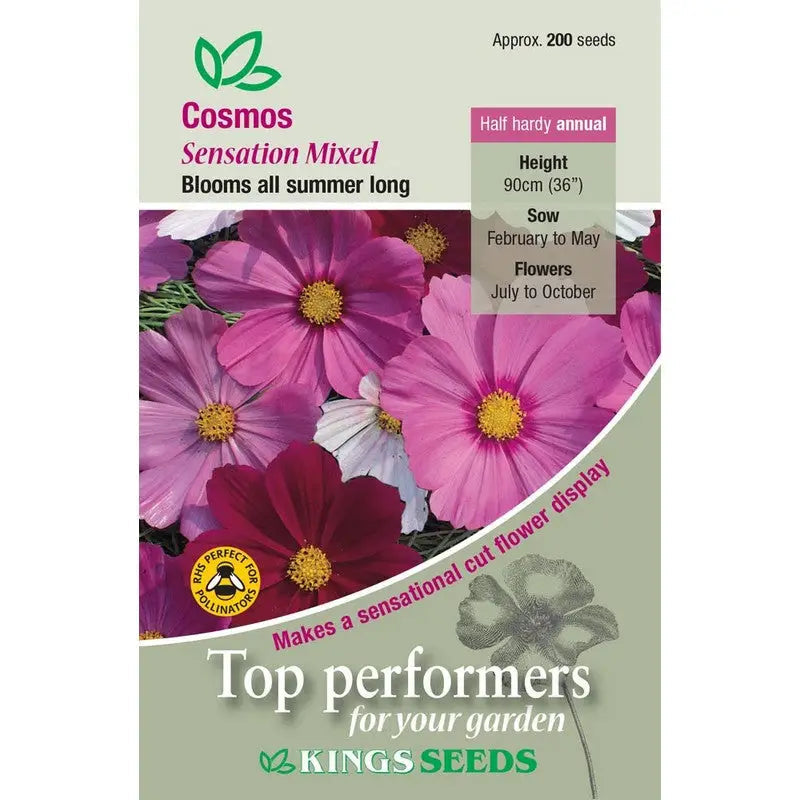 Kings Seeds Flowers Range of Growing Seeds - Cosmos