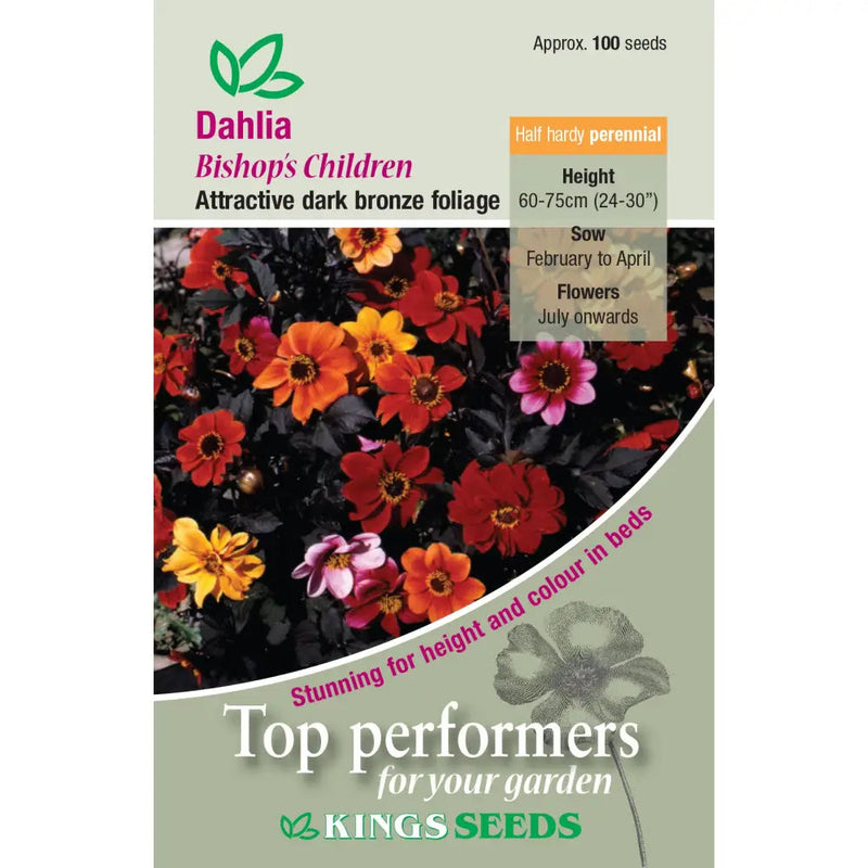 Kings Seeds Flowers Range of Growing Seeds - Dahlia Bishops