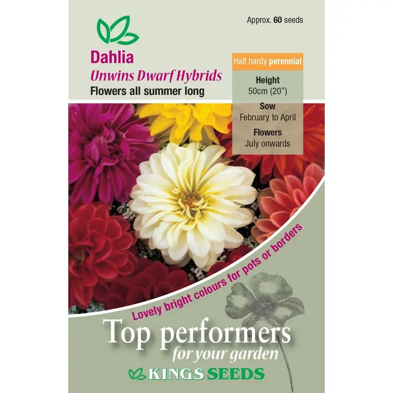 Kings Seeds Flowers Range of Growing Seeds - Dahlia - Unwins