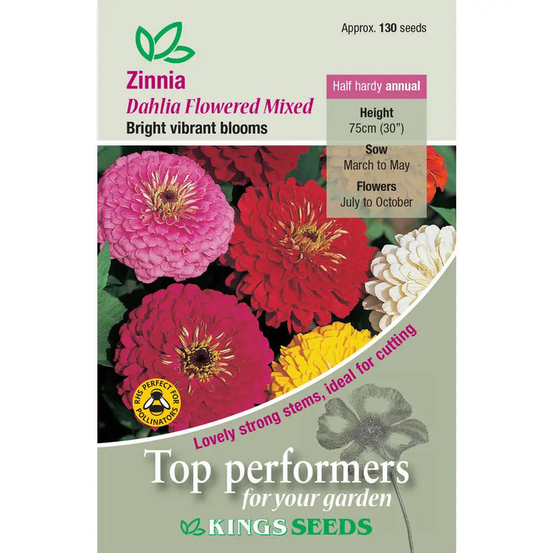 Kings Seeds Flowers Range of Growing Seeds - Dahlia Zinnia