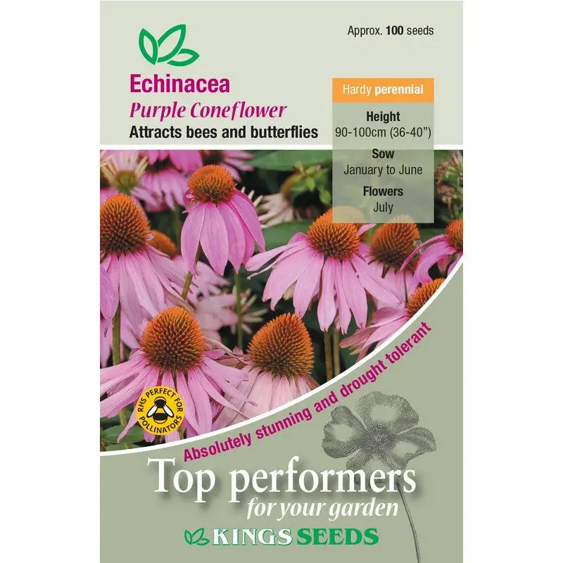 Kings Seeds Flowers Range of Growing Seeds - Echinacea