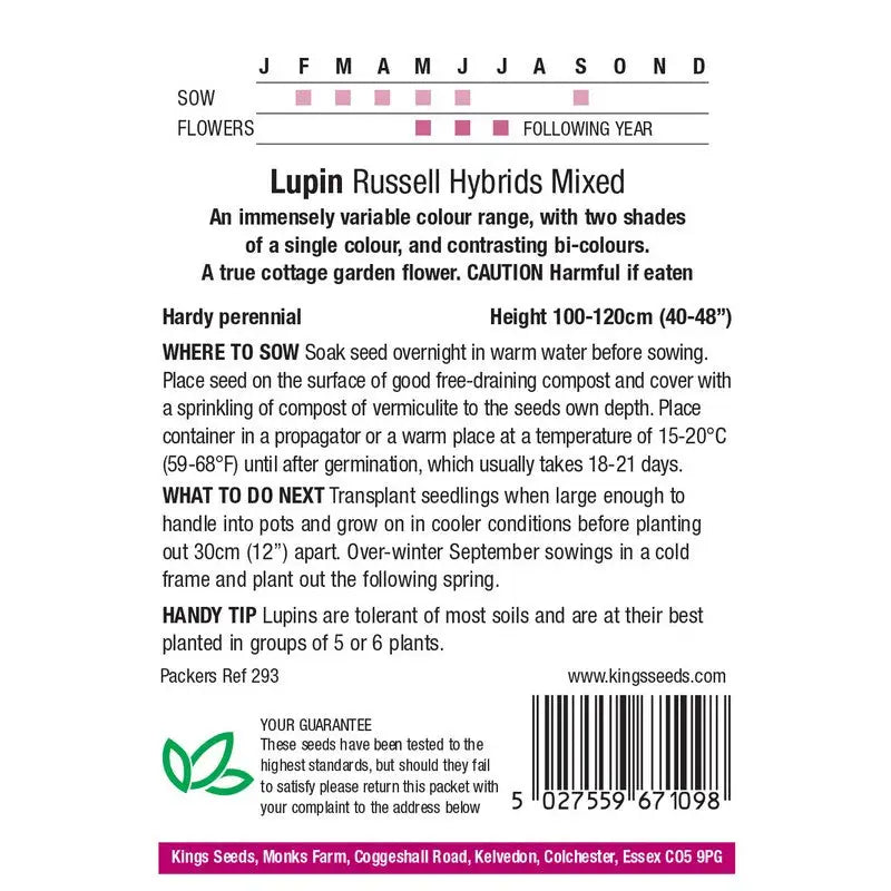 Kings Seeds Flowers Range of Growing Seeds - Seeds