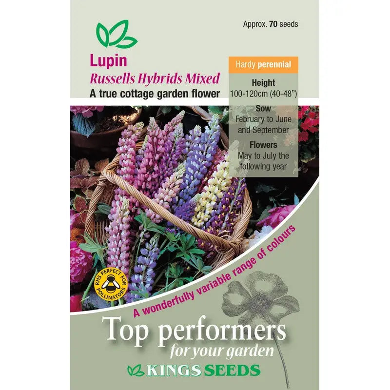 Kings Seeds Flowers Range of Growing Seeds - Lupin Russel